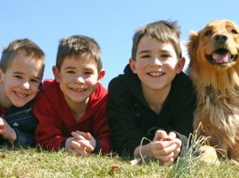 Benefits of Pet breeding