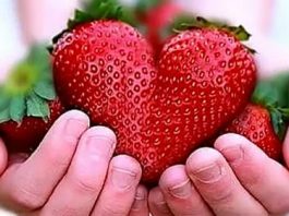 Strawberry