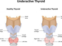 thyroid