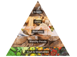 What is the food pyramid?