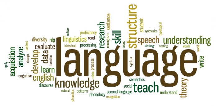 The importance of language in our lives