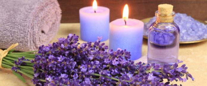 Benefits of Lavender Oil