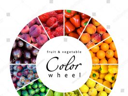 Colors wheel of fruits and vegetables