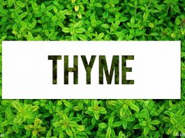 Benefits of Thyme