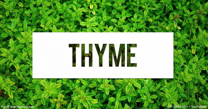 Benefits of Thyme