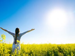 The benefits of the sun for humans, animals and plants