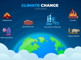 Climate Change